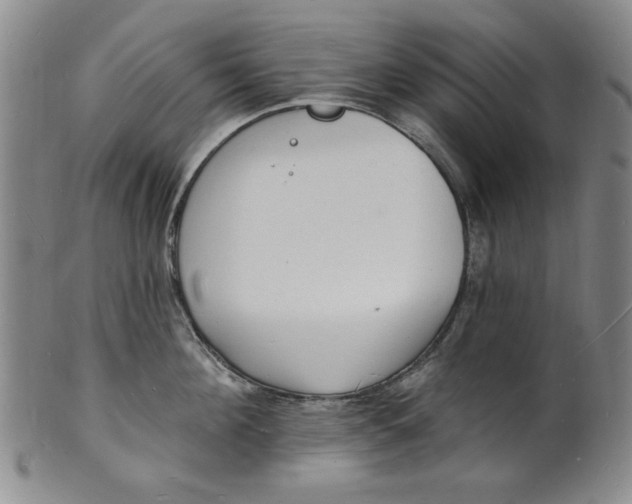 X0000102230908200808081344