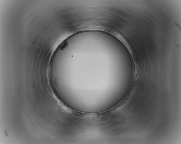 X0000102230909200808081344
