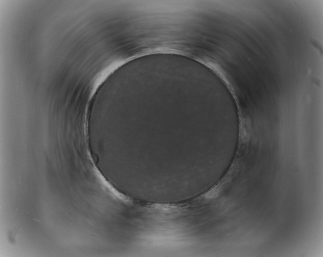 X0000102230910200808081344