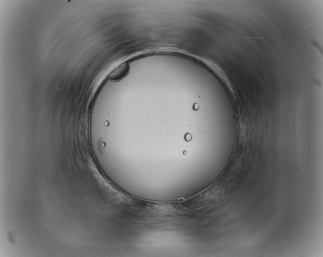 X0000102230911200808081344
