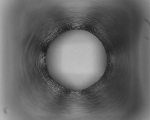 X0000102230914200808081344