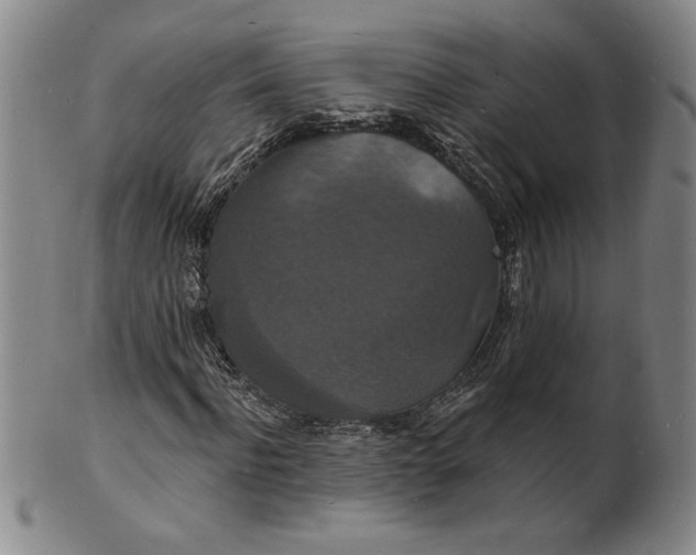 X0000102230916200808081344