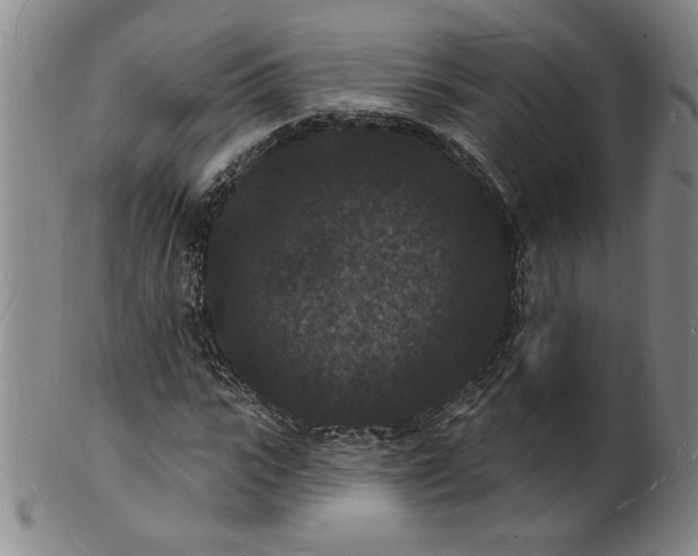 X0000102230919200808081344