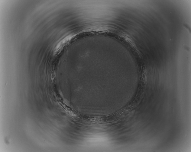 X0000102230920200808081344