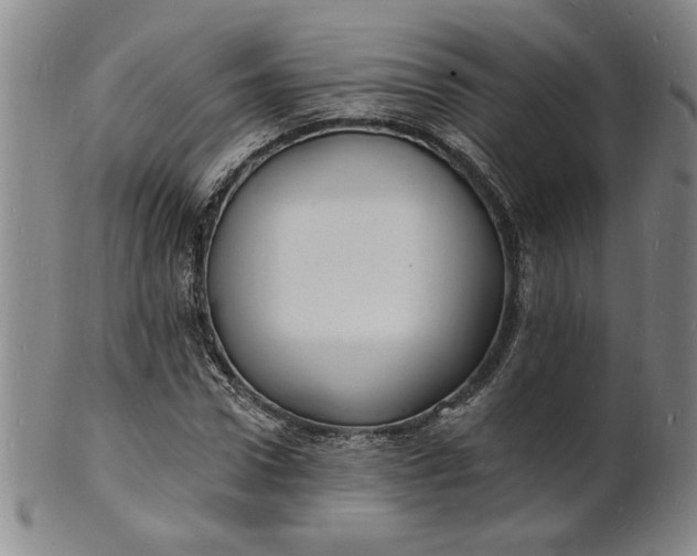 X0000102230922200808081344