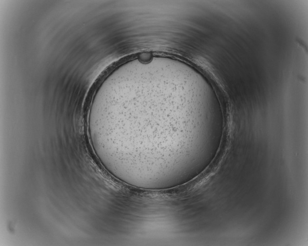 X0000102230924200808081344