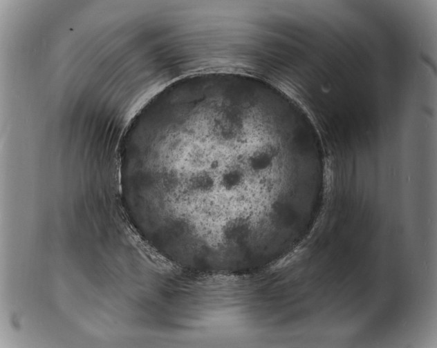 X0000102230925200808081344