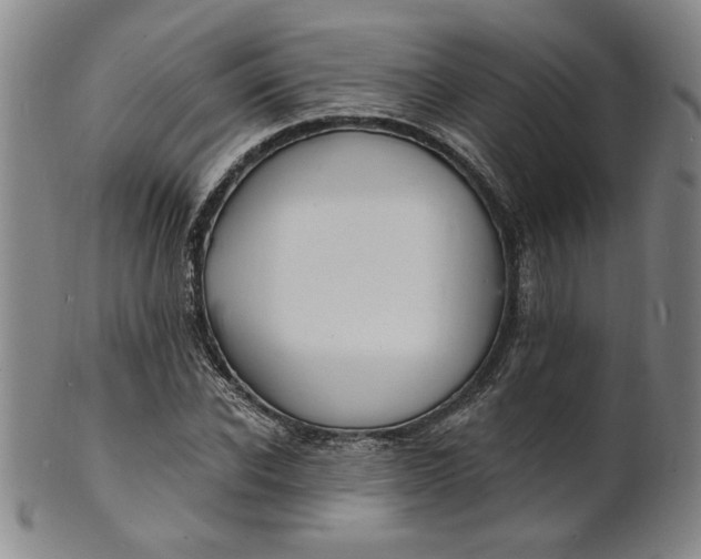 X0000102230926200808081344