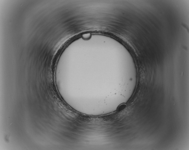X0000102230927200808081344