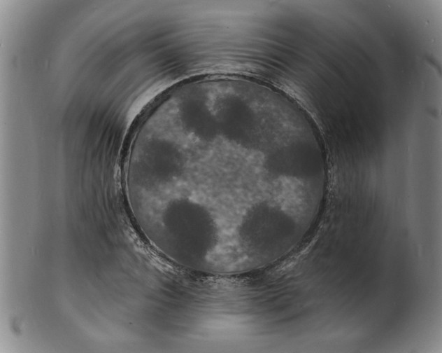 X0000102230928200808081344