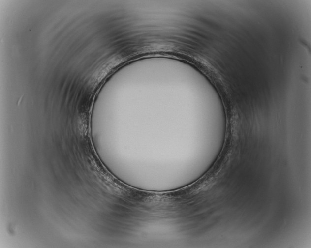 X0000102230929200808081344