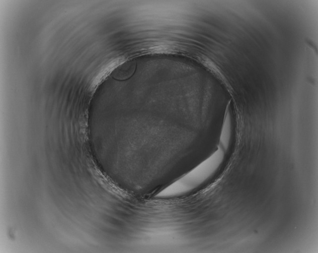 X0000102230930200808081344
