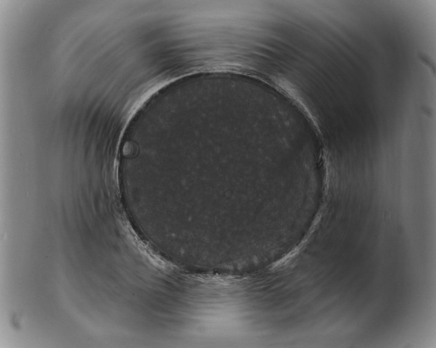 X0000102230932200808081344