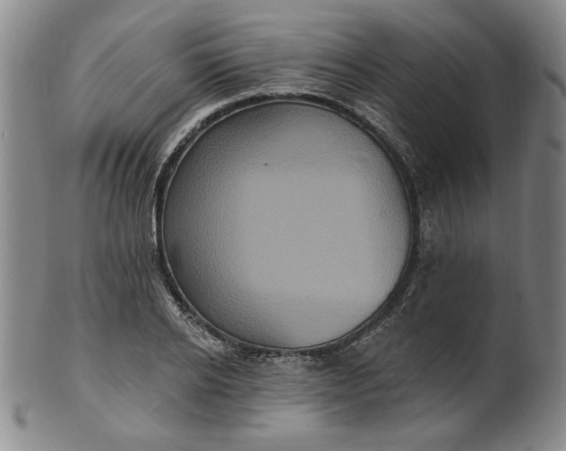 X0000102230934200808081344