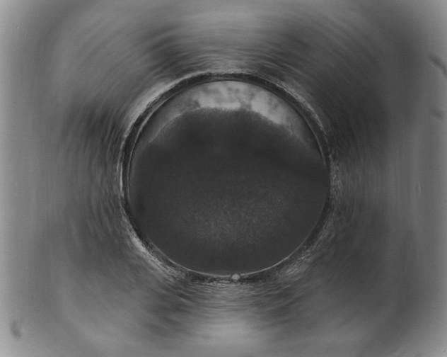 X0000102230935200808081344