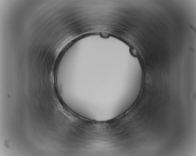 X0000102230936200808081344