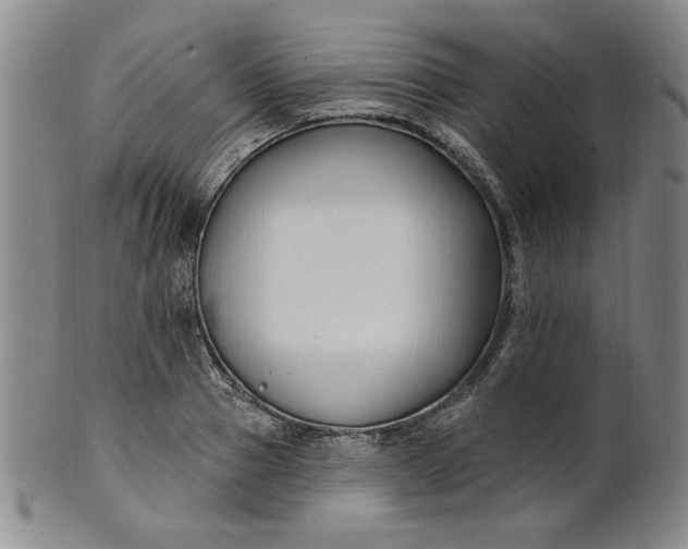 X0000102230937200808081344