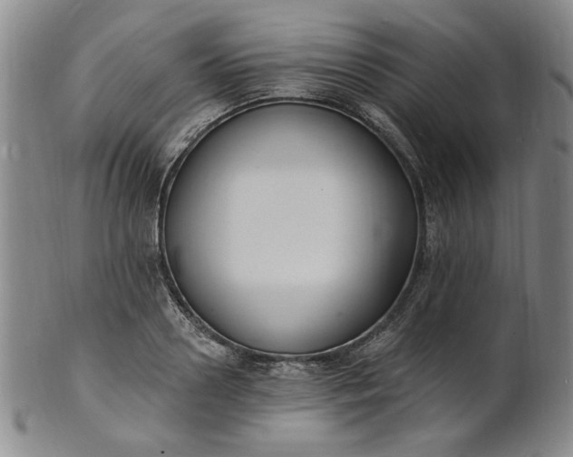 X0000102230938200808081344