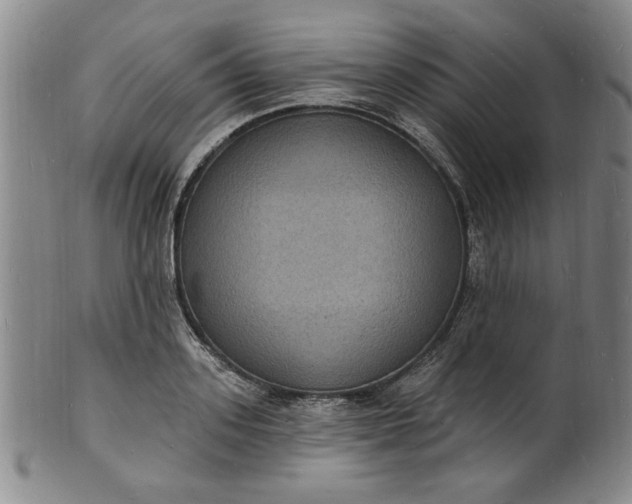 X0000102230939200808081344