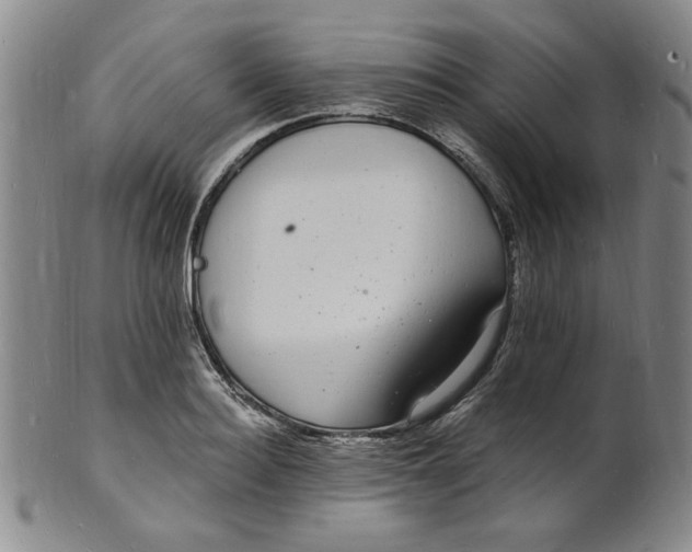 X0000102230940200808081344