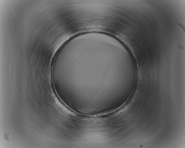 X0000102230941200808081344