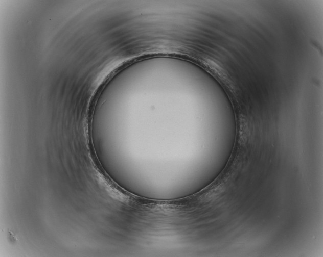 X0000102230942200808081344