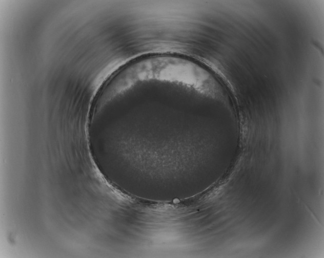 X0000102230943200808081344