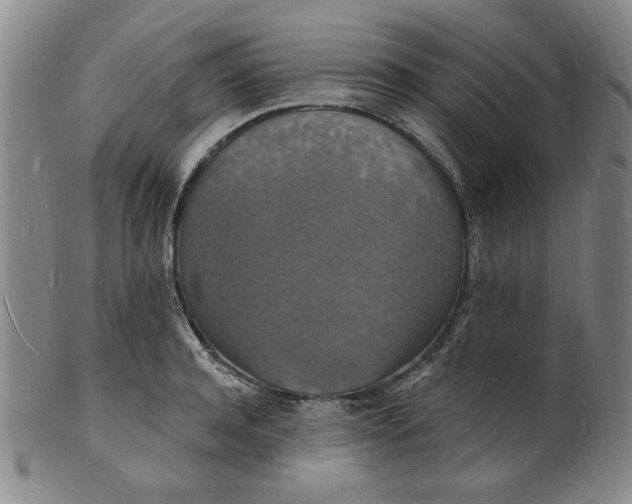 X0000102230944200808081344