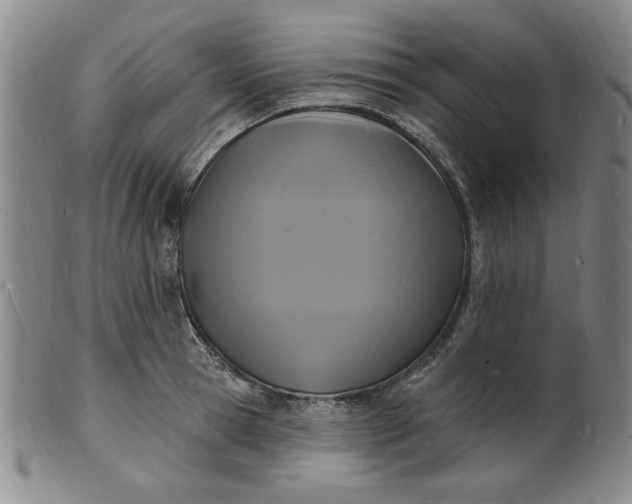 X0000102230945200808081344