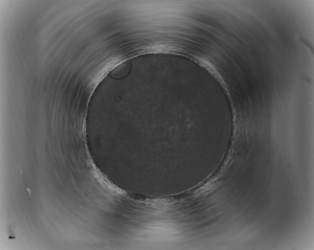 X0000102230946200808081344
