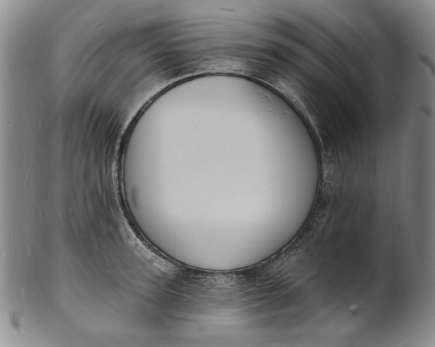X0000102230947200808081344