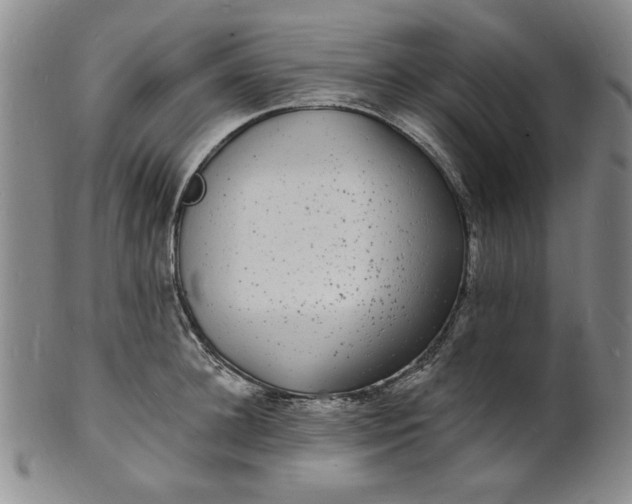 X0000102230948200808081344