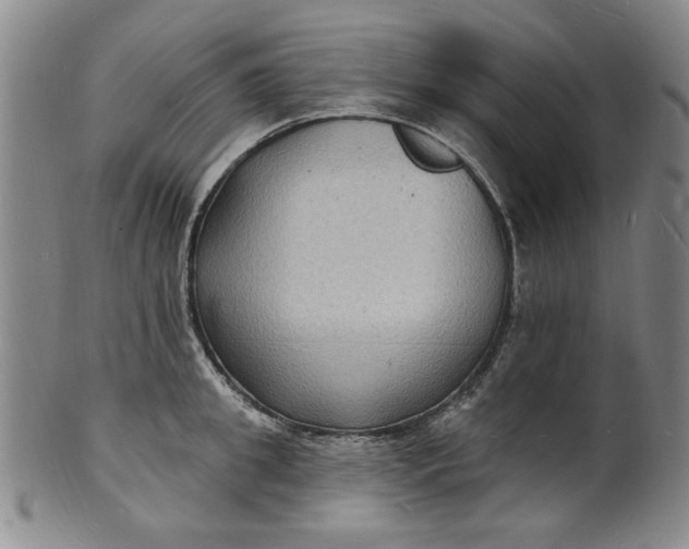 X0000102230949200808081344