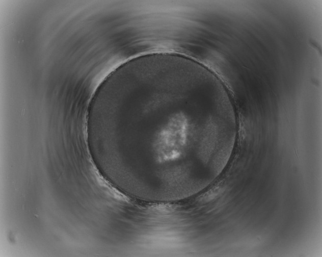 X0000102230950200808081344