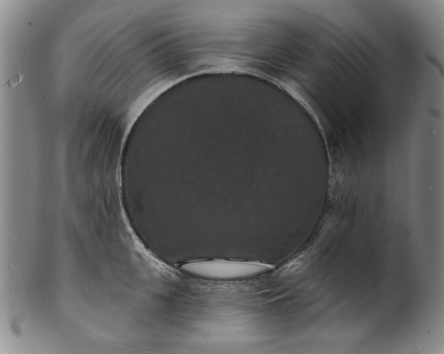 X0000102230951200808081344