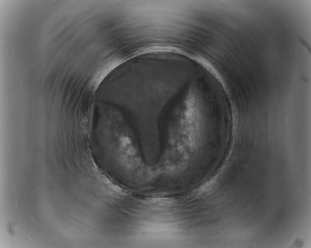 X0000102230953200808081344
