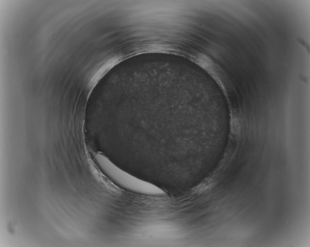 X0000102230954200808081344