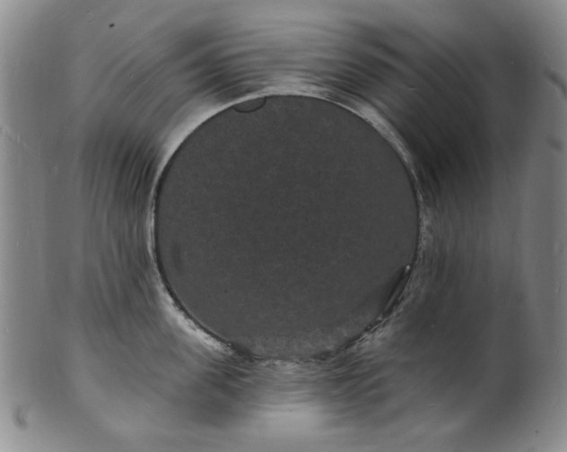 X0000102230955200808081344