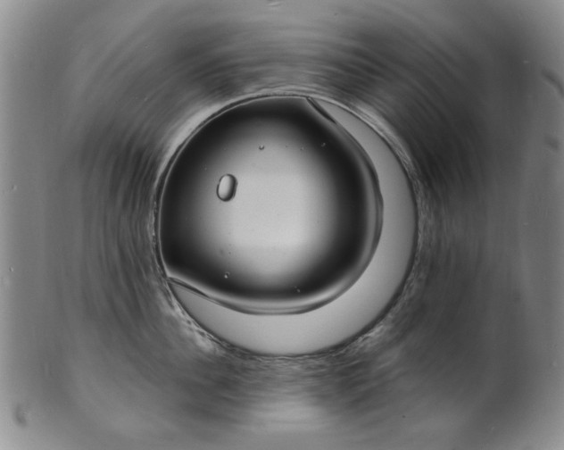 X0000102230956200808081344