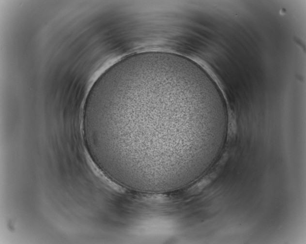 X0000102230957200808081344
