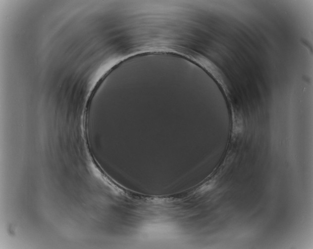 X0000102230958200808081344