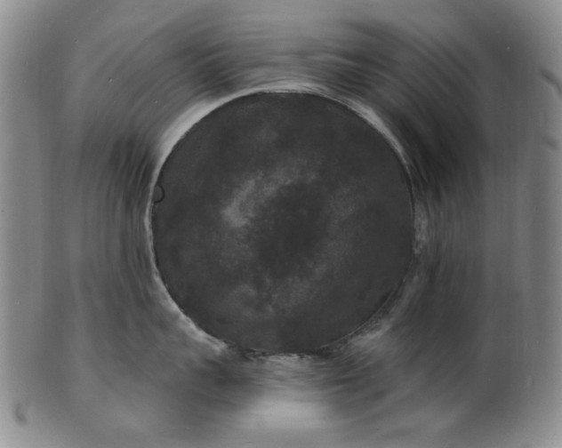 X0000102230959200808081344