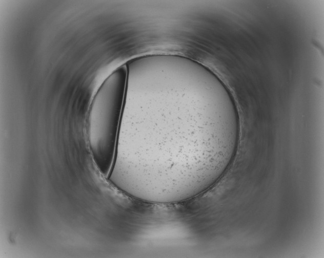 X0000102230960200808081344