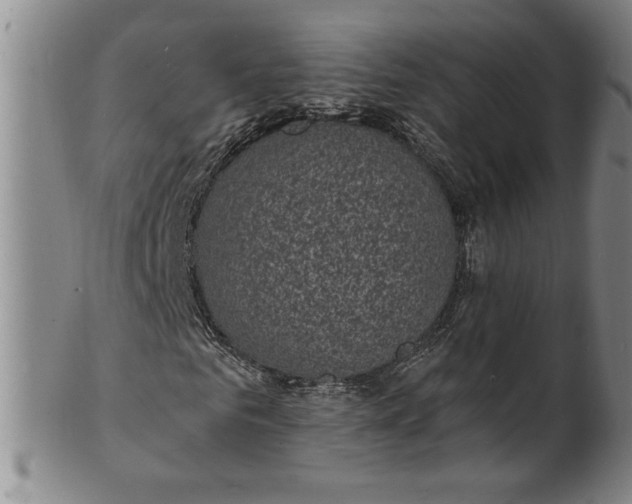 X0000102230961200808081344