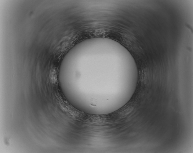 X0000102230962200808081343