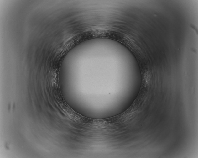 X0000102230964200808081343