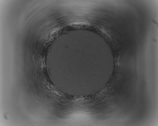 X0000102230965200808081343
