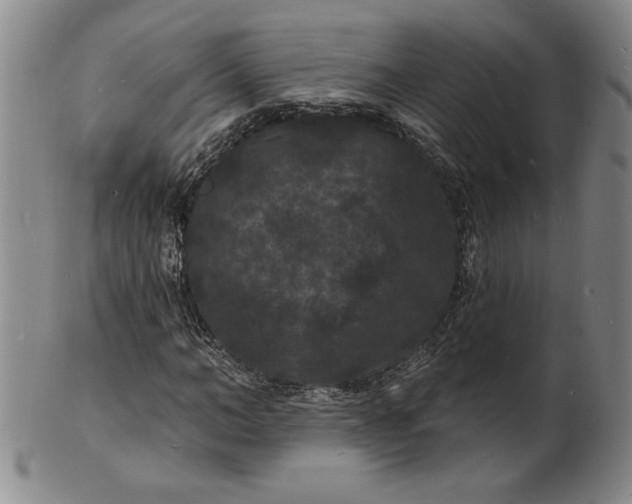 X0000102230966200808081343