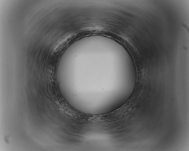 X0000102230967200808081343