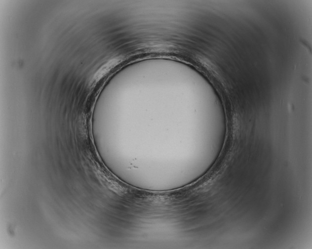 X0000102230970200808081343